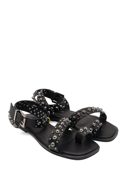 1172 ISTERIA PRIM/EST 2026 MICRO