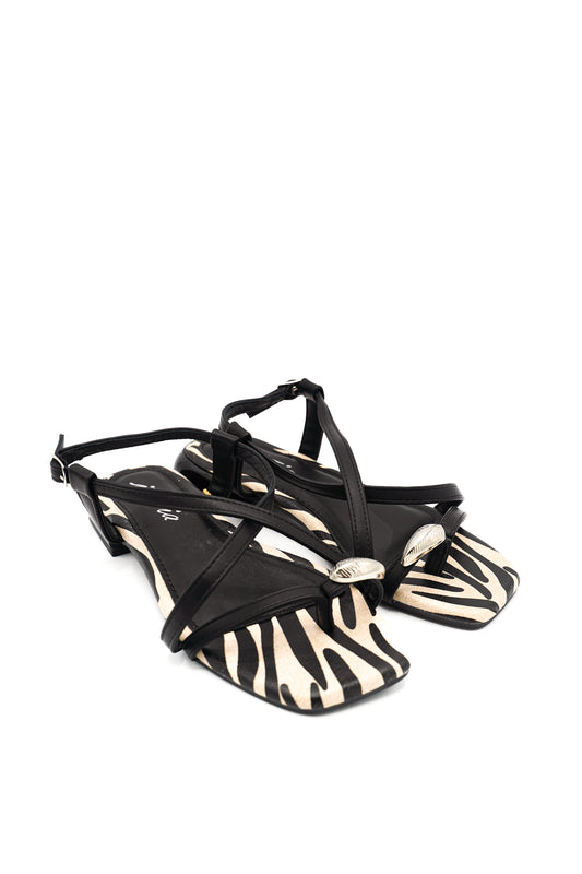 1104 ISTERIA PRIM/EST 2026 MICRO