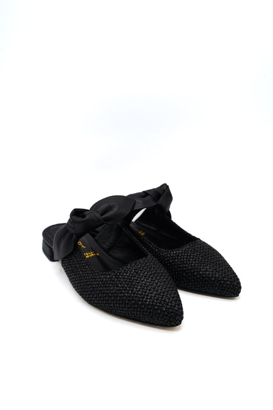 251906 SHADDY PRIM/EST 2026 HASIR/DUBAI