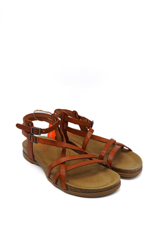 3241 PORRONET PRIM/EST 2026 MICRO GOMMA