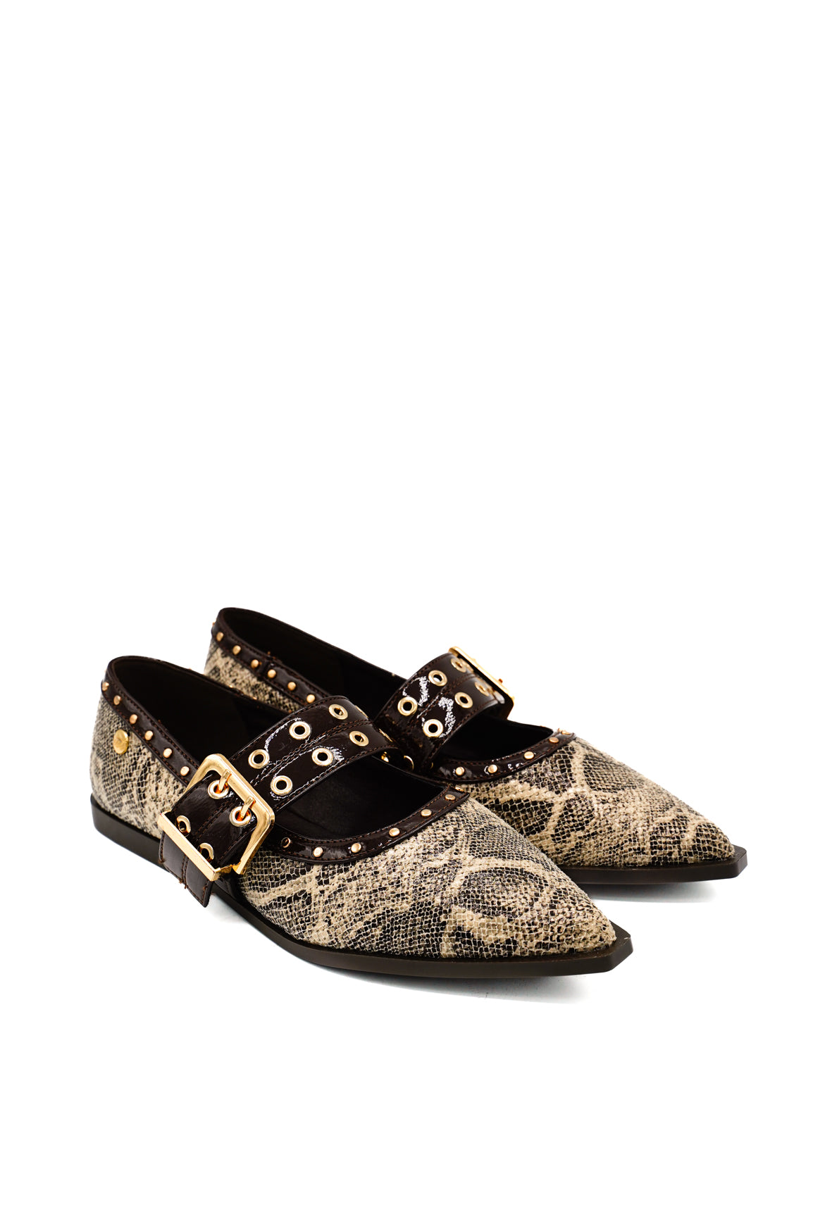 Isteria Ballerine 531