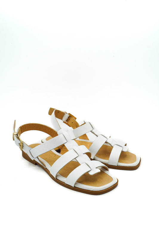 01 246 15103 EPOCHE PRIM/EST 2026 MICRO