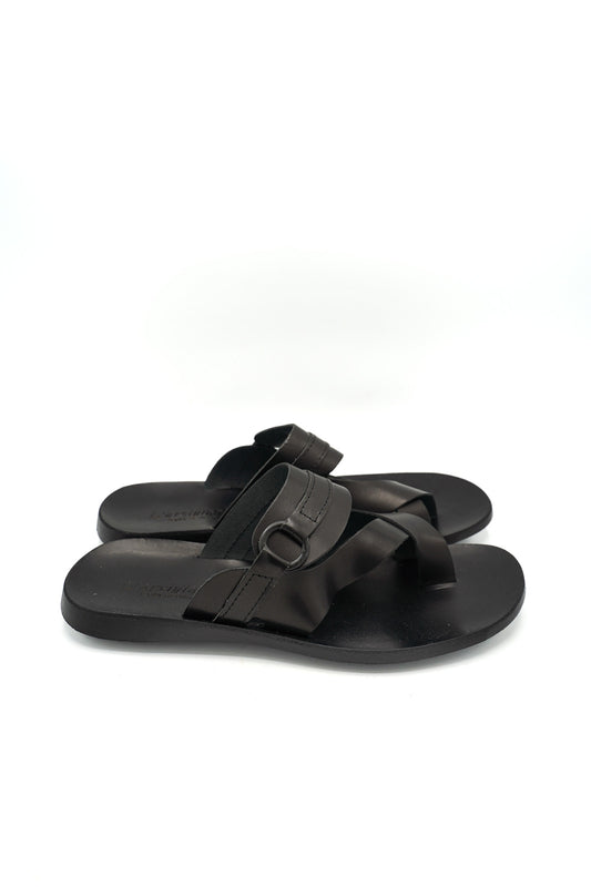 1172 PHOENIX PRIM/EST 2026 VACCHETTA GOM