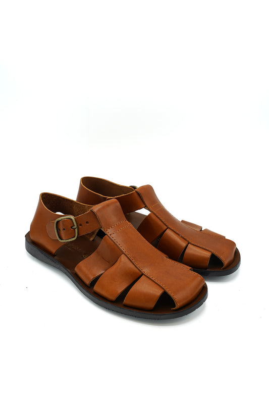 02 PHOENIX PRIM/EST 2026 VACCHETTA GOMMA