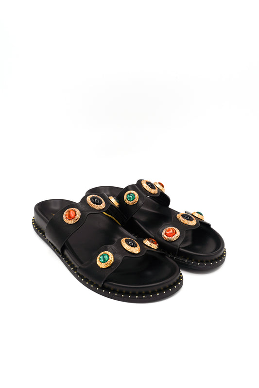 1126 ISTERIA PRIM/EST 2026 MICRO