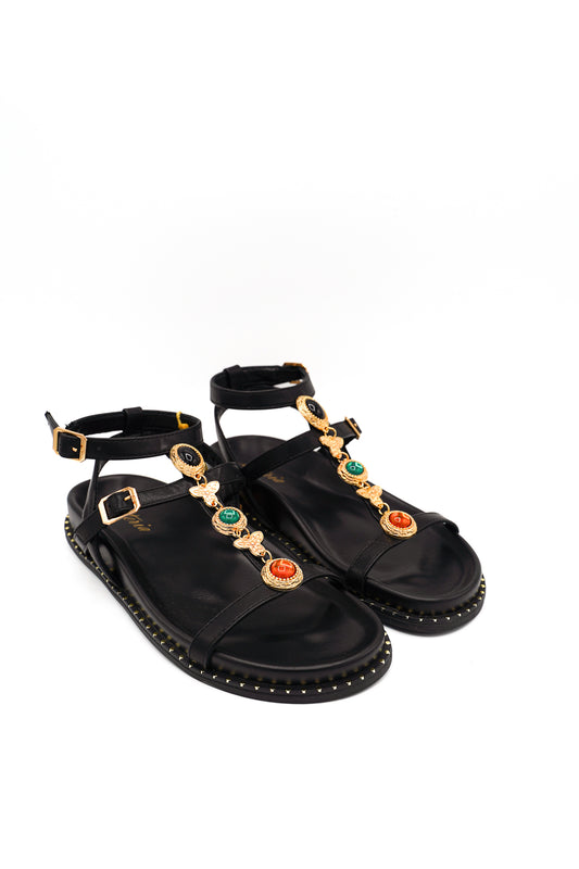 1120 ISTERIA PRIM/EST 2026 MICRO