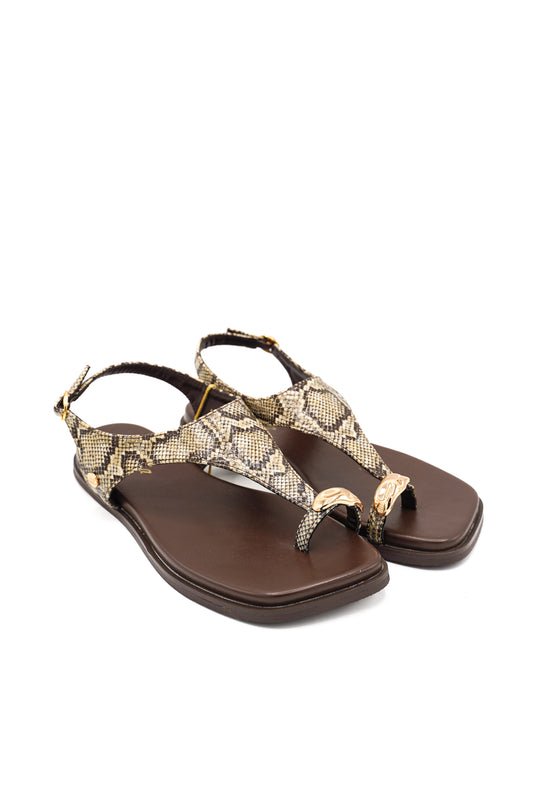 1164 ISTERIA PRIM/EST 2026 MICRO