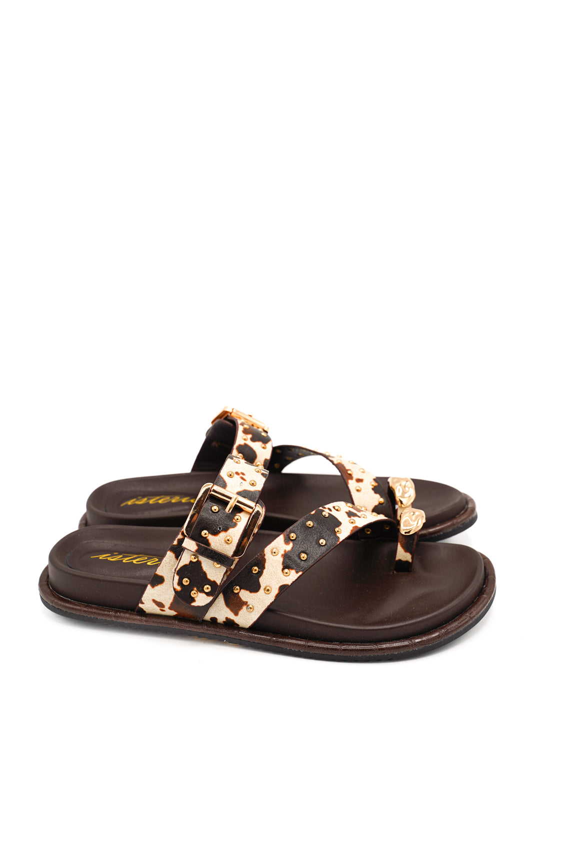 1116 ISTERIA PRIM/EST 2026 MICRO