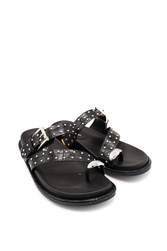 1116 ISTERIA PRIM/EST 2026 MICRO