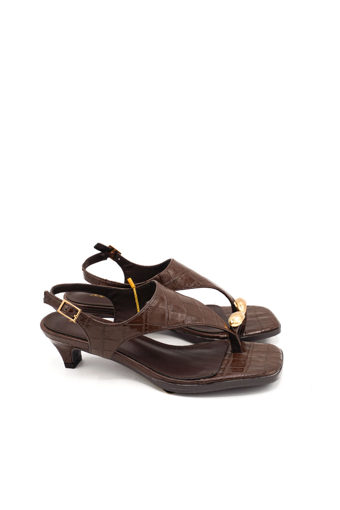 1095 ISTERIA PRIM/EST 2026 MICRO