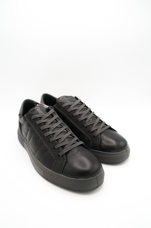 Sneakers Igi&Co 600