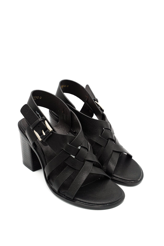 3642-3 CRICHIC PRIM/EST 2026 ASIA