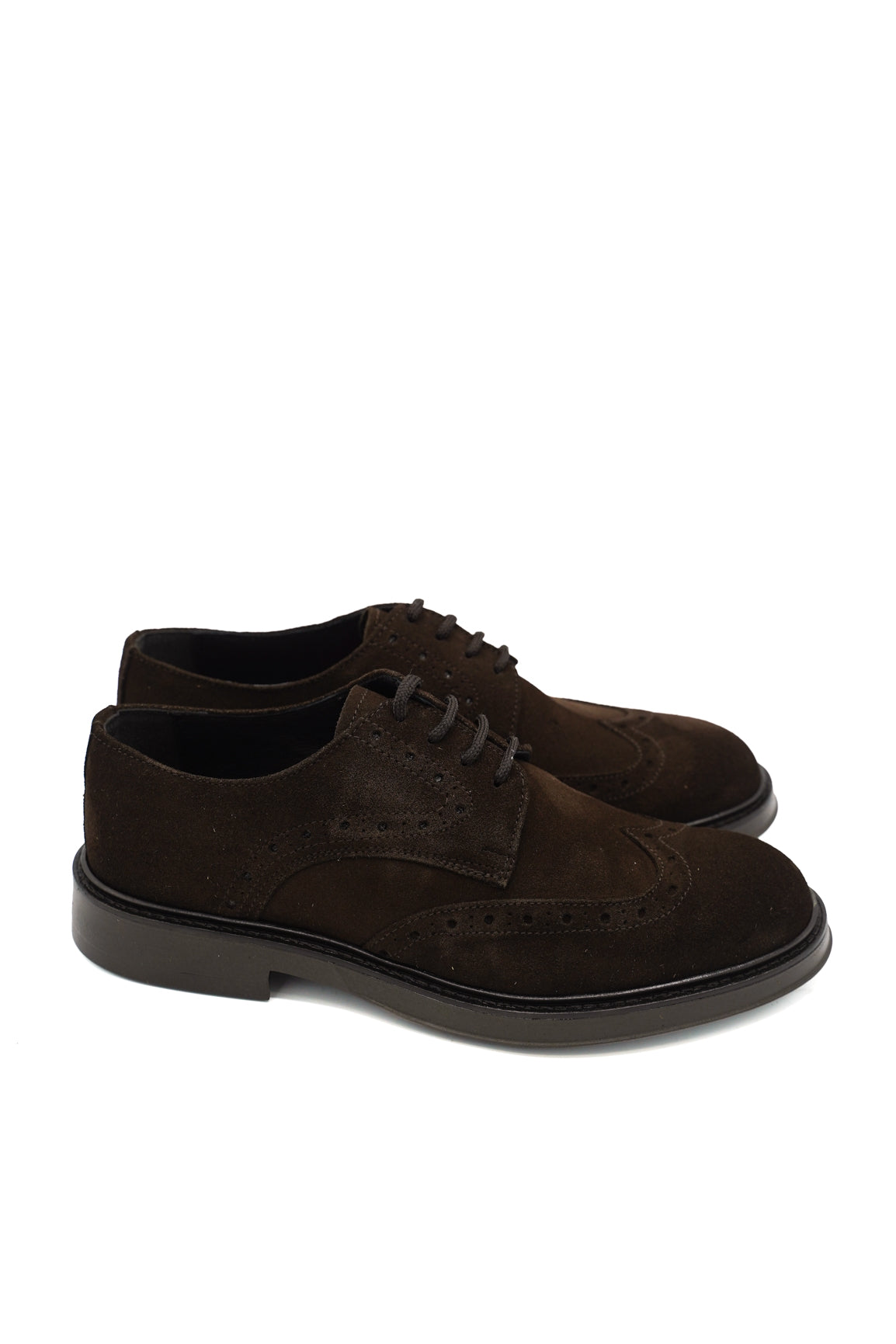 Scarpissime 30100/8100 derby brogue scamosciate