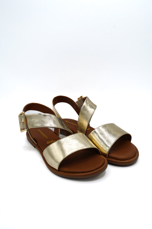 240300 SHADDY PRIM/EST 2026 IZMFOIL GOMM