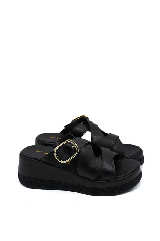 261352 SHADDY PRIM/EST 2026 DUBAI GOMMA