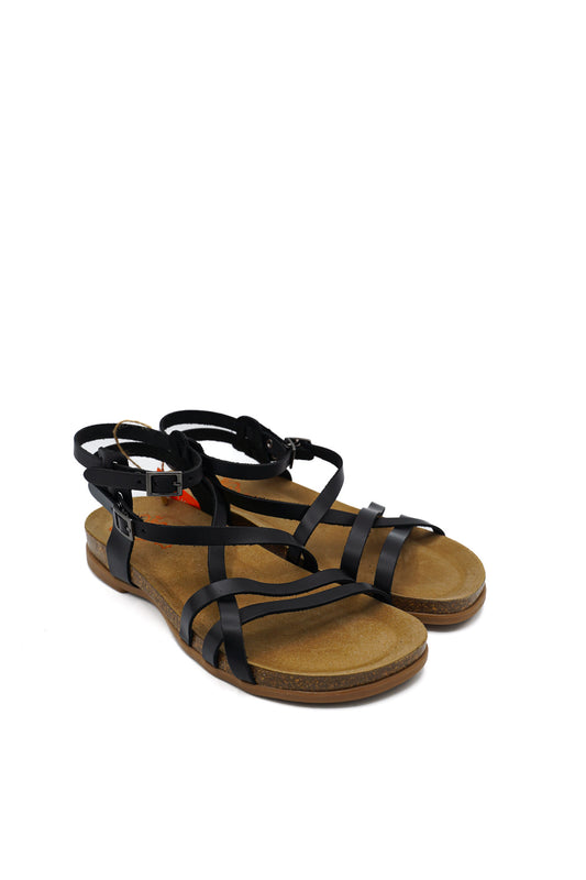 3241 PORRONET PRIM/EST 2026 MICRO GOMMA