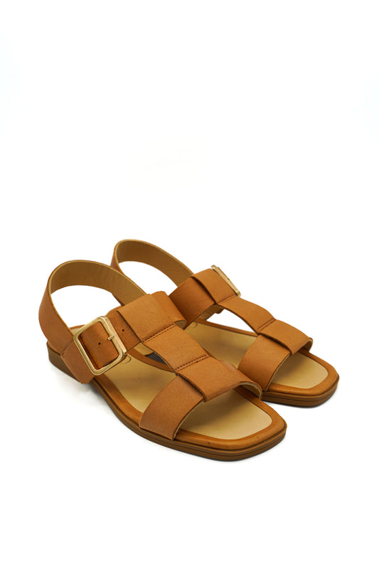 01 246 15113 EPOCHE PRIM/EST 2026 MICRO