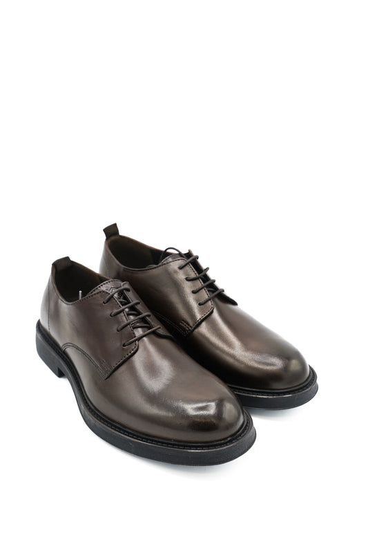 Lumberjack Stringate 102217105