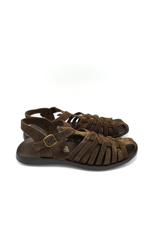 27012 PHOENIX PRIM/EST 2026 CAMOSCIO GOM