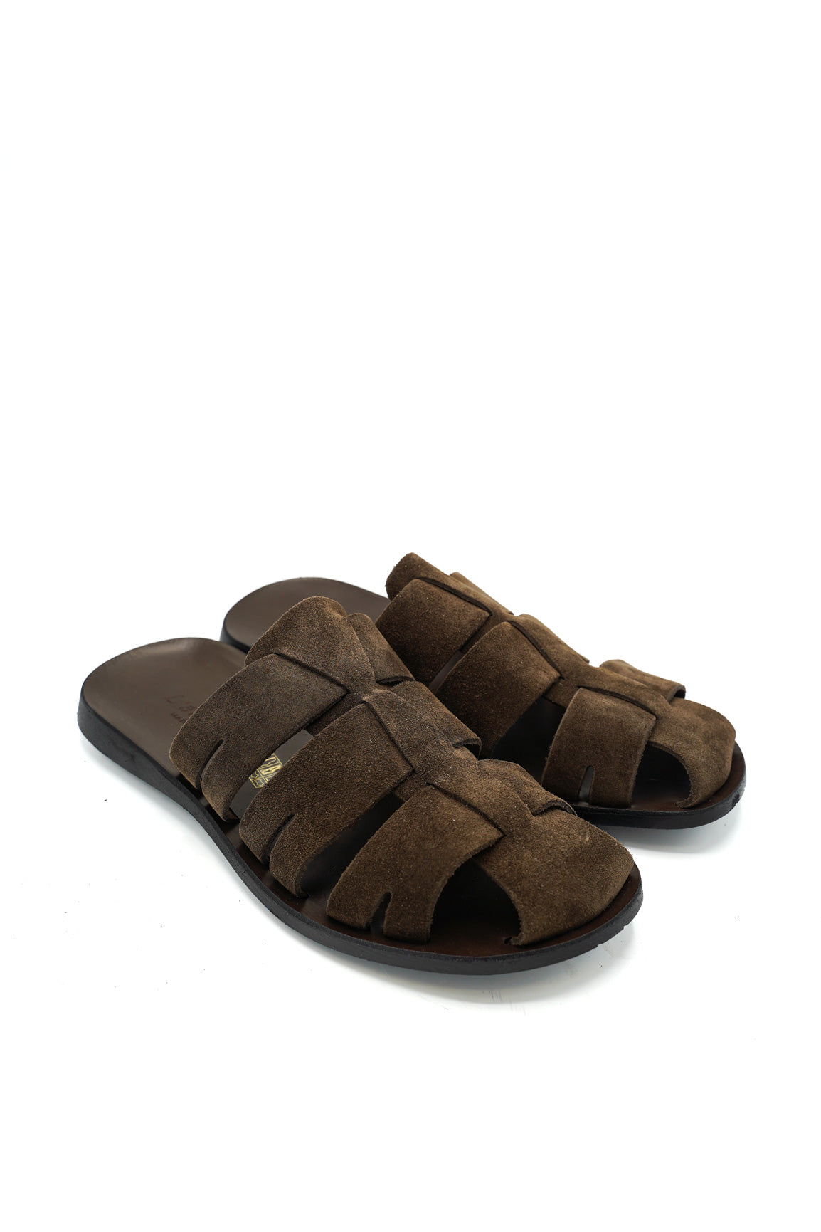 27035 PHOENIX PRIM/EST 2026 CAMOSCIO GOM