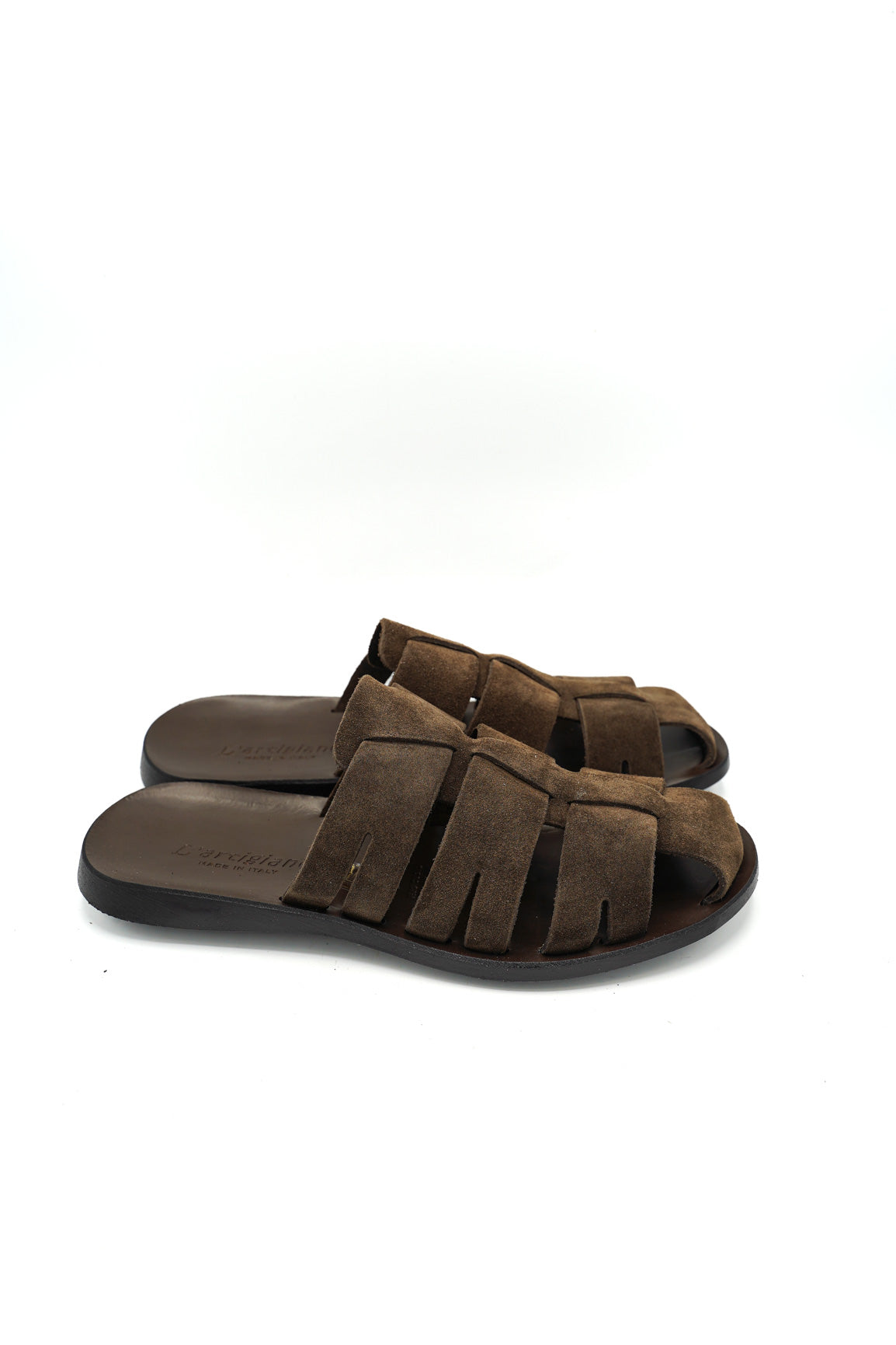 27035 PHOENIX PRIM/EST 2026 CAMOSCIO GOM