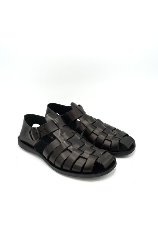 1902 PHOENIX PRIM/EST 2026 VACCHETTA GOM