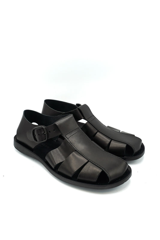 02 PHOENIX PRIM/EST 2026 VACCHETTA GOMMA